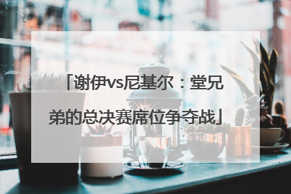 谢伊vs尼基尔：堂兄弟的总决赛席位争夺战